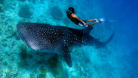 /album/fotogaleria-kombo-sri-lanka-a-maldivy1/kombi-zajazd-sri-lanka-a-maldivy-89-jpg1/
